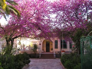 sede1