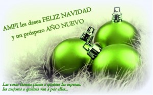 Las cosas buenas pasan a quienes las esperan, las mejores a quienes van a por ellas. AMFI les desea Feliz Navidad y un Próspero Año Nuevo